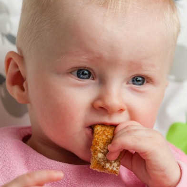 baby eating a piece of toast