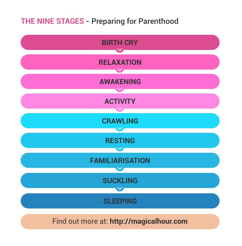 Image of a diagram with nine stages of 'Preparing for Parenthood' - birth cry, relaxation, awakening, activity, crawling, resting, familiarisation, suckling, sleeping.