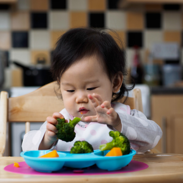 toddler in chair picking at some broccoli 