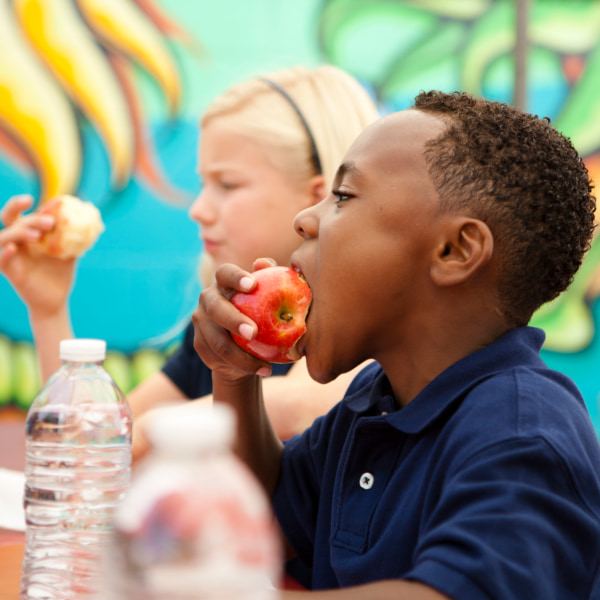 Boy eating an apple for his school dinner