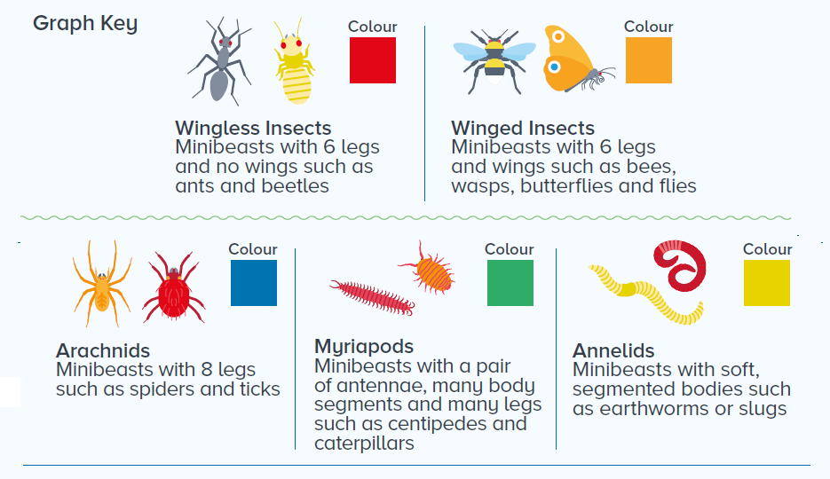 Minibeasts